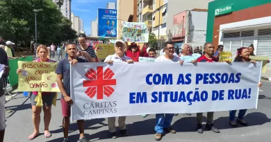 Cáritas Arquidiocesana de Campinas – Vida que transforma