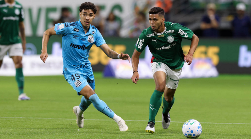 Palmeiras reage, busca empate, mas vê gol da virada ser anulado