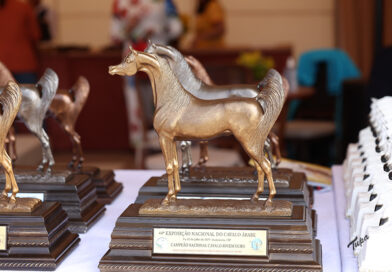 Maior evento do Cavalo Árabe da América Latina transforma Indaiatuba em polo do agronegócio equestre