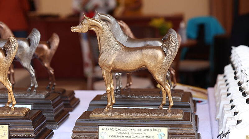 Maior evento do Cavalo Árabe da América Latina transforma Indaiatuba em polo do agronegócio equestre