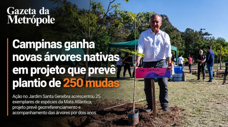 Campinas ganhou mais 25 mudas de árvores nativas da Mata Atlântica como parte de uma iniciativa que pretende chegar ao plantio de 250 exemplares na cidade. A nova etapa foi realizada na Avenida Wagner Samara, no Jardim Santa Genebra, e integra uma campanha iniciada durante as comemorações dos 250 anos do município.