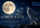 Zeza Amaral: o jornalista que fez o lobo conversar com a Lua