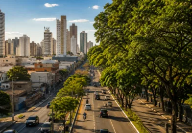 Por que alguns lugares de Campinas são mais quentes que outros?