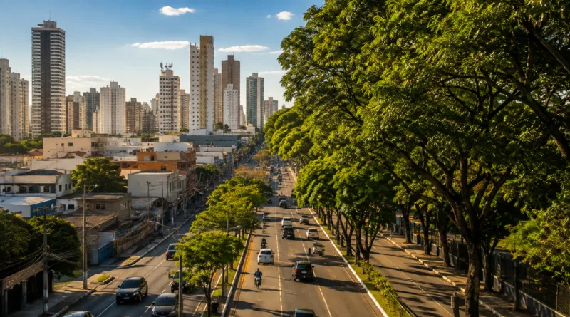 Por que alguns lugares de Campinas são mais quentes que outros?