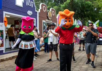 Expoflora abre hoje em Holambra com novidades e expectativa de 280 mil visitantes