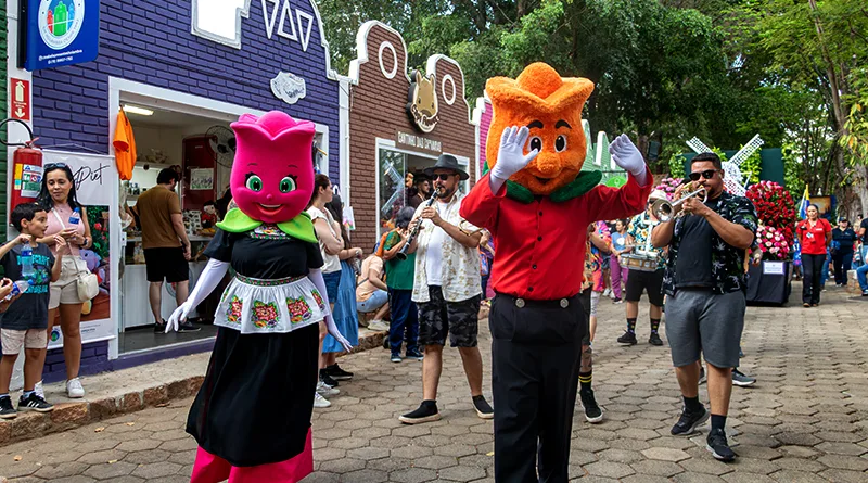 Expoflora abre hoje em Holambra com novidades e expectativa de 280 mil visitantes