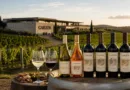 ABS Campinas promove degustação de vinhos uruguaios da Bodega Garzón