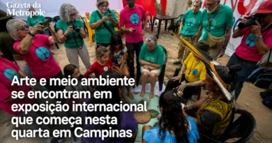 Broken Forests reúne artistas do Brasil e do Canadá e leva exposições, performances e atividades ambientais à PUC-Campinas, Mata Santa Genebra, Cambuí e Sousas