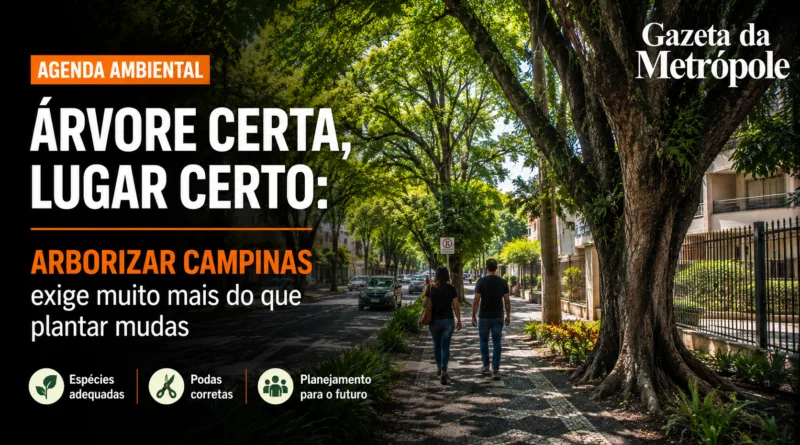 Arborização urbana em Campinas com árvores em área urbana da cidade
