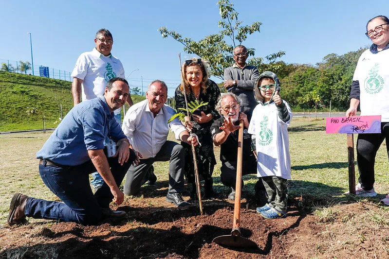 Plantio de muda de árvore nativa durante ação de arborização no Jardim Santa Genebra, em Campinas