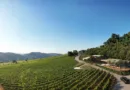 Vinícola na Serra da Mantiqueira inaugura espaço para casamentos e eventos