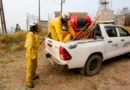 Região de Campinas registra queda de 70% nos focos de calor em agosto